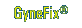 GyneFix